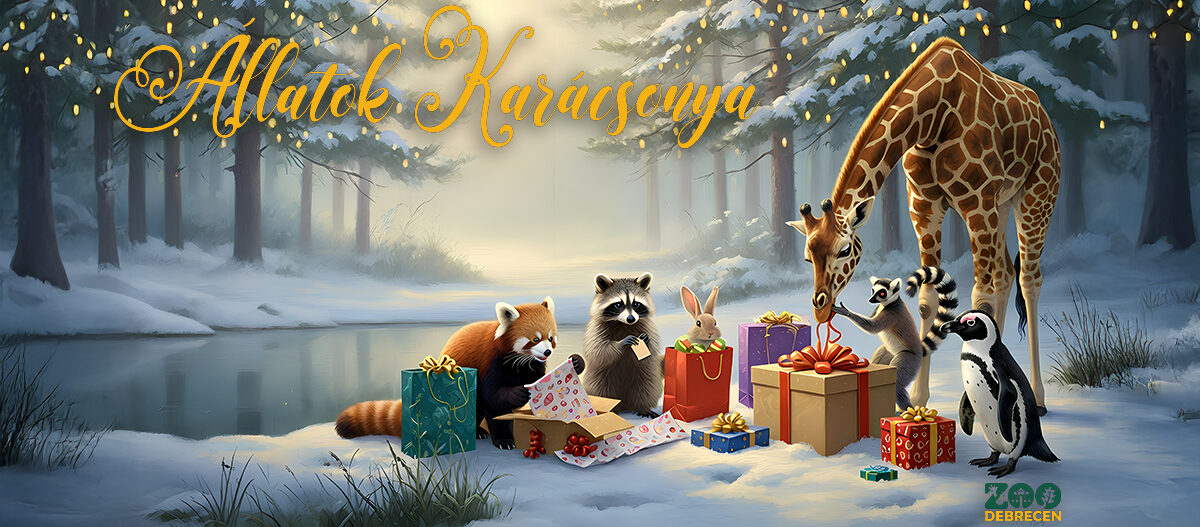 Állatok Karácsonya