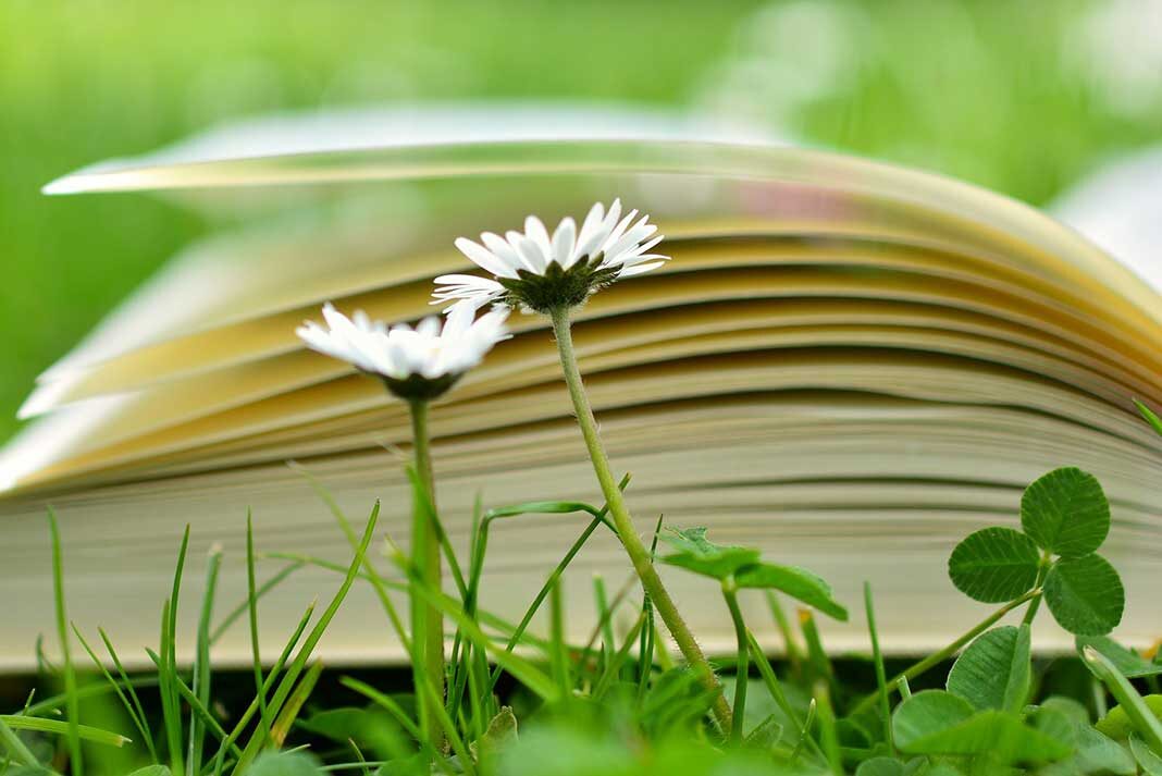 Tavaszi könyvajánló