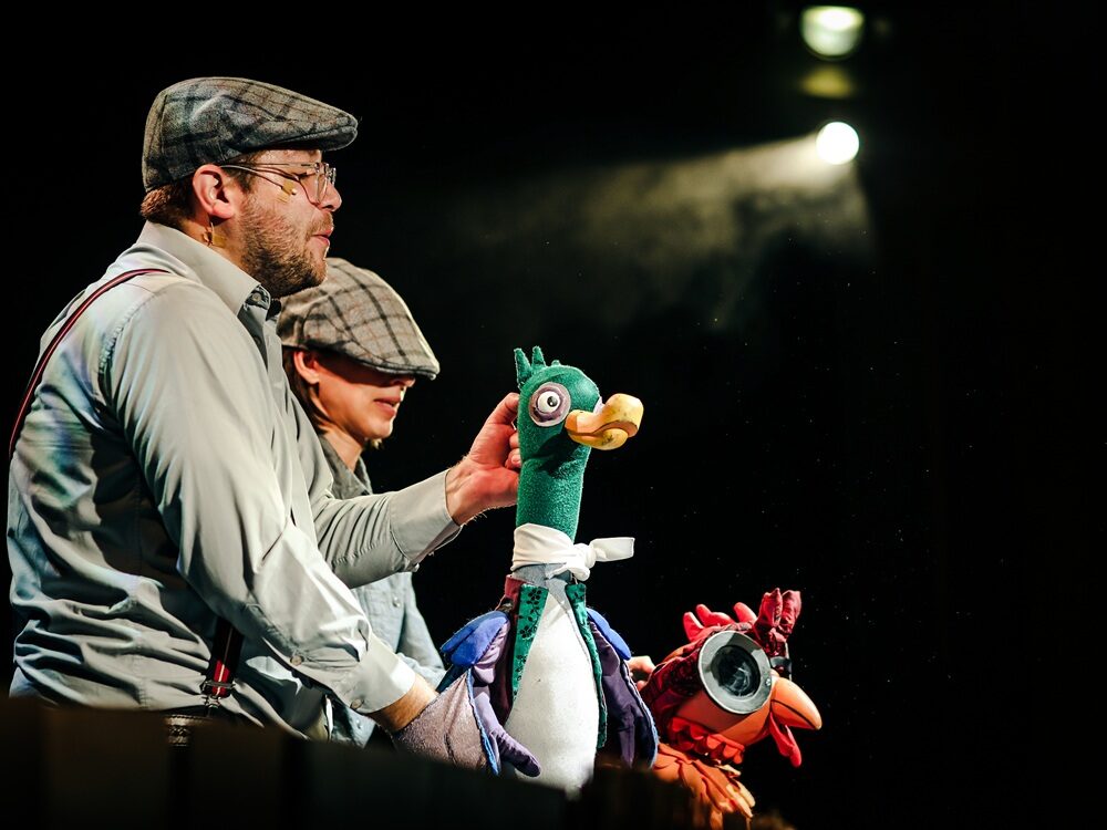 Sánta kacsa, vak tyúk