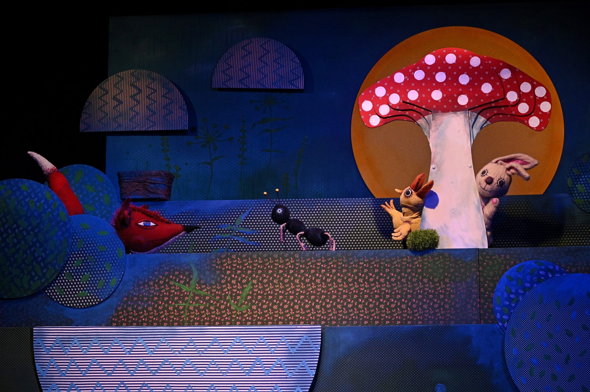 Kis pipi és kis réce kalandjai