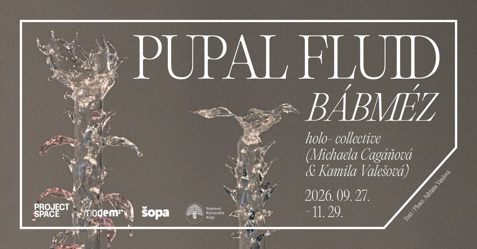 Pupal Fluid